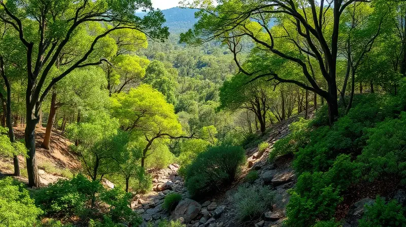 Bosque denso y salvaje en Kings Canyon